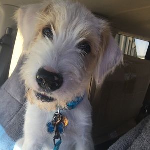 Meet your Posher, Beth